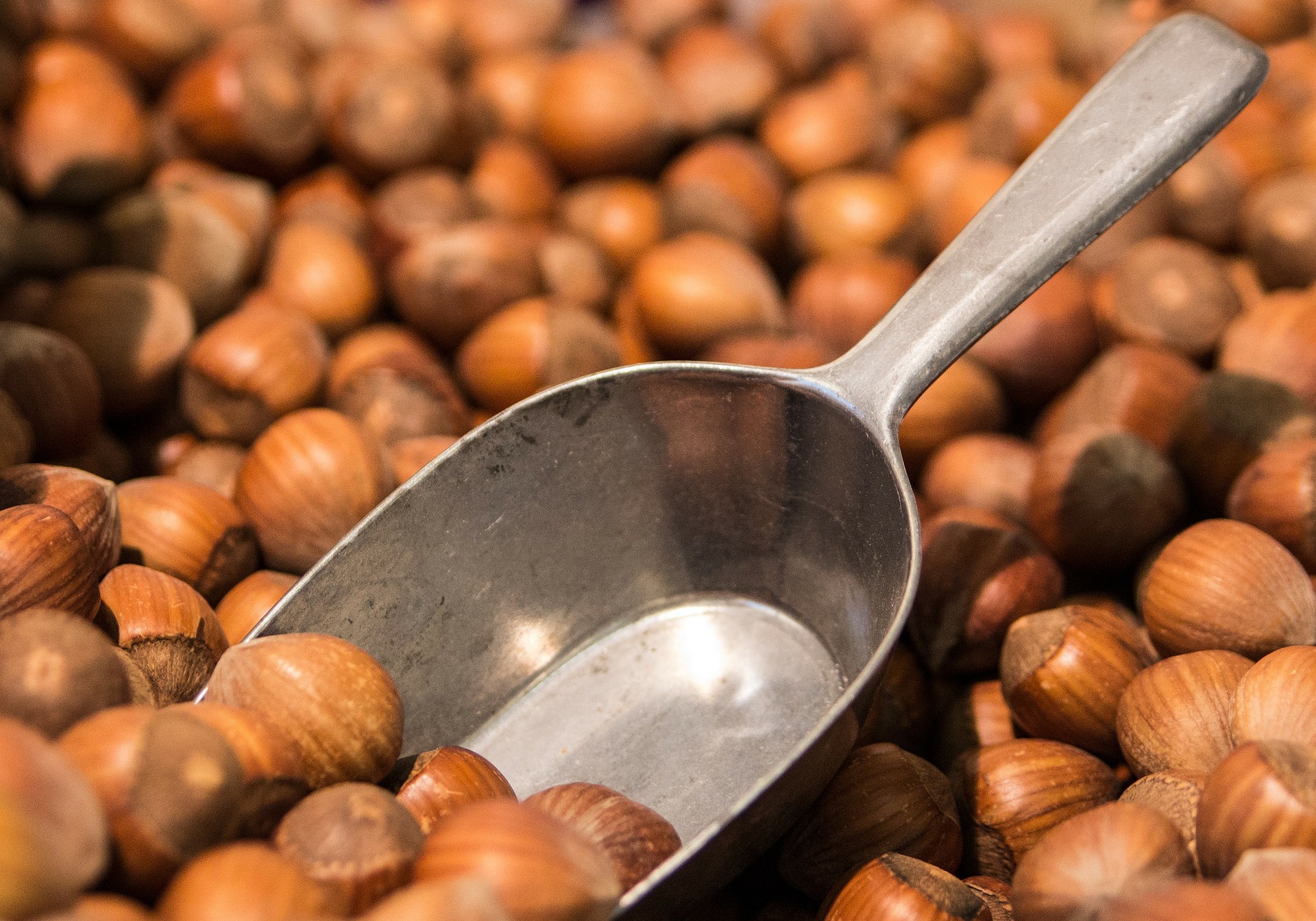 Kernels like Hazelnuts Cajole Cancer Cell Death